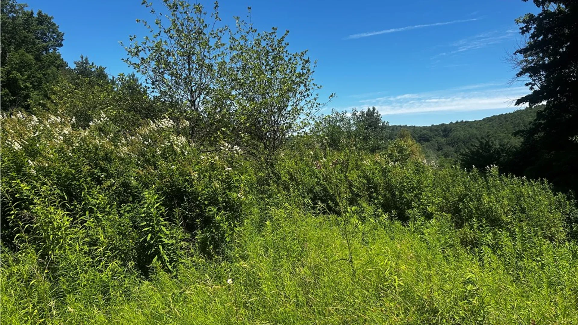 Property at Mary Brown Hill Road, Laurens, NY 13796 12