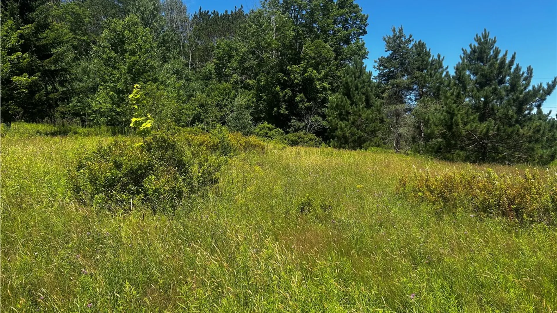 Property at Mary Brown Hill Road, Laurens, NY 13796 13