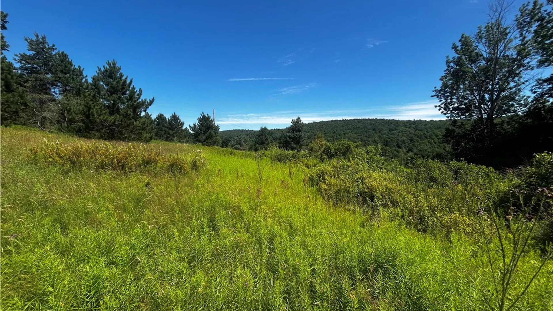 Property at Mary Brown Hill Road, Laurens, NY 13796 14