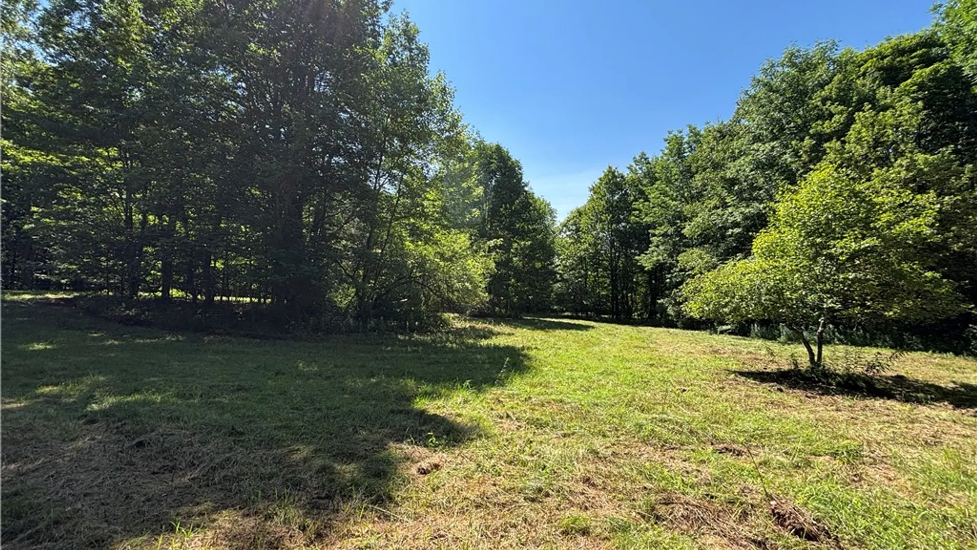 Property at 0 Cronin Road, Westford, NY 12155 4