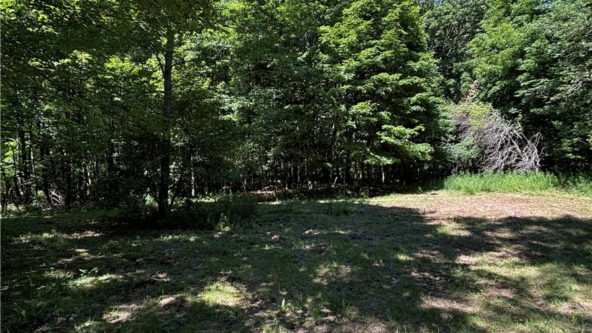 Property at 0 Cronin Road, Westford, NY 12155 5