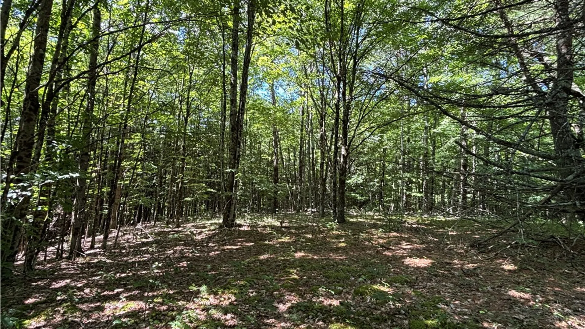 Property at 0 Cronin Road, Westford, NY 12155 18