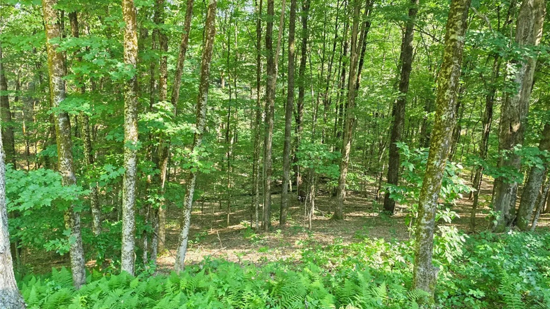 Property at 10798 Rowell Road, Camden, NY 13316 29
