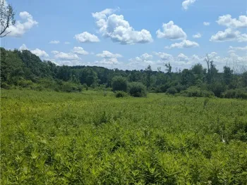 Property at 00 Sulphur Springs Rd Road, Norway, NY 13324