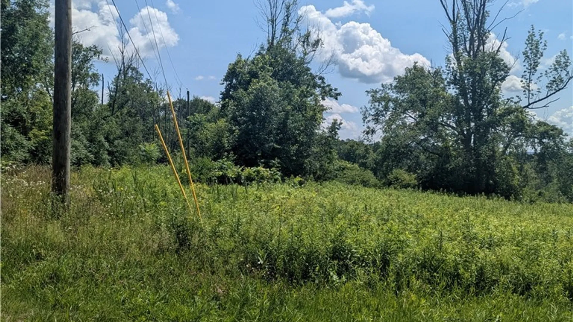 Property at 00 Sulphur Springs Rd Road, Norway, NY 13324 2