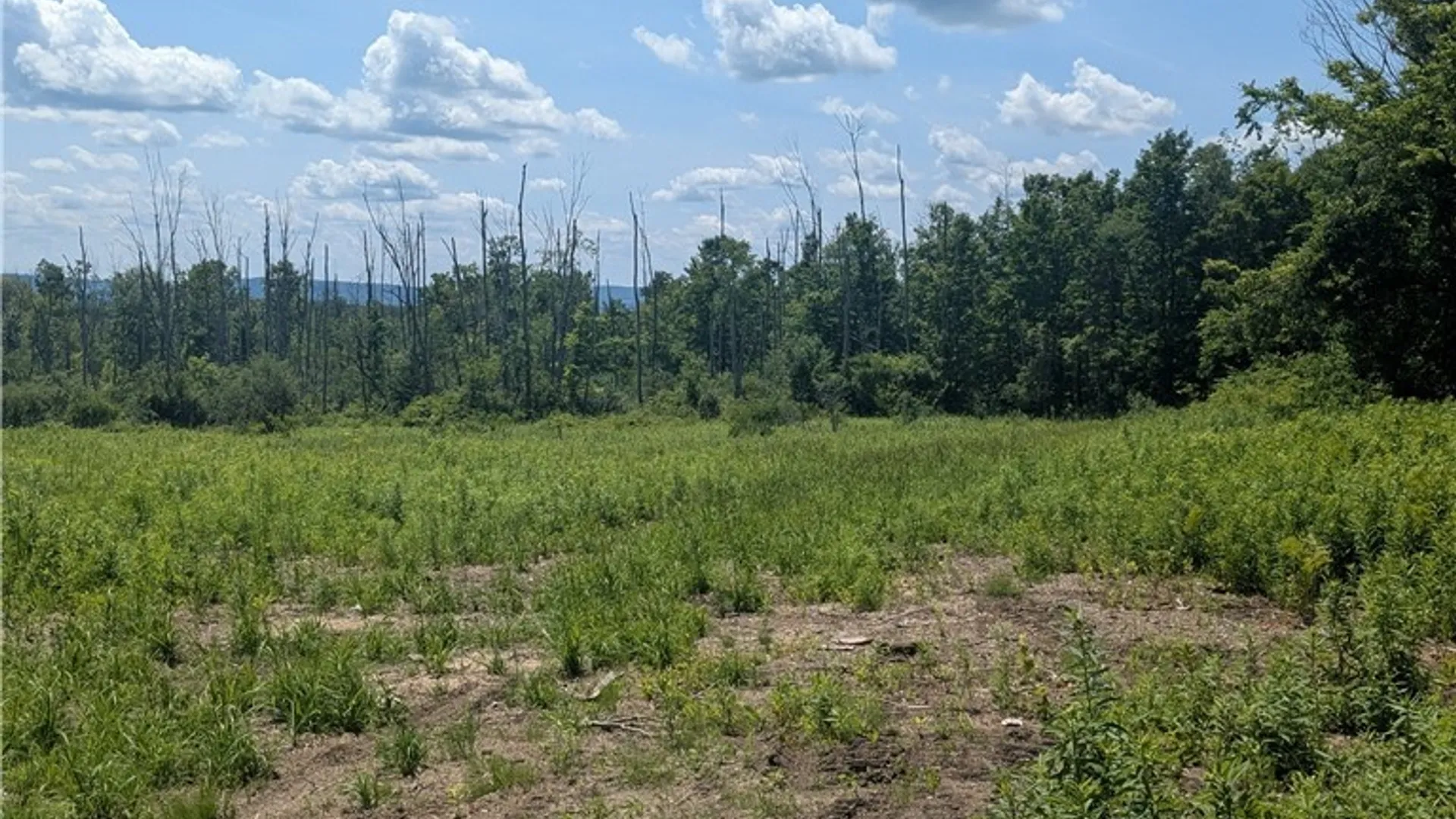 Property at 00 Sulphur Springs Rd Road, Norway, NY 13324 3