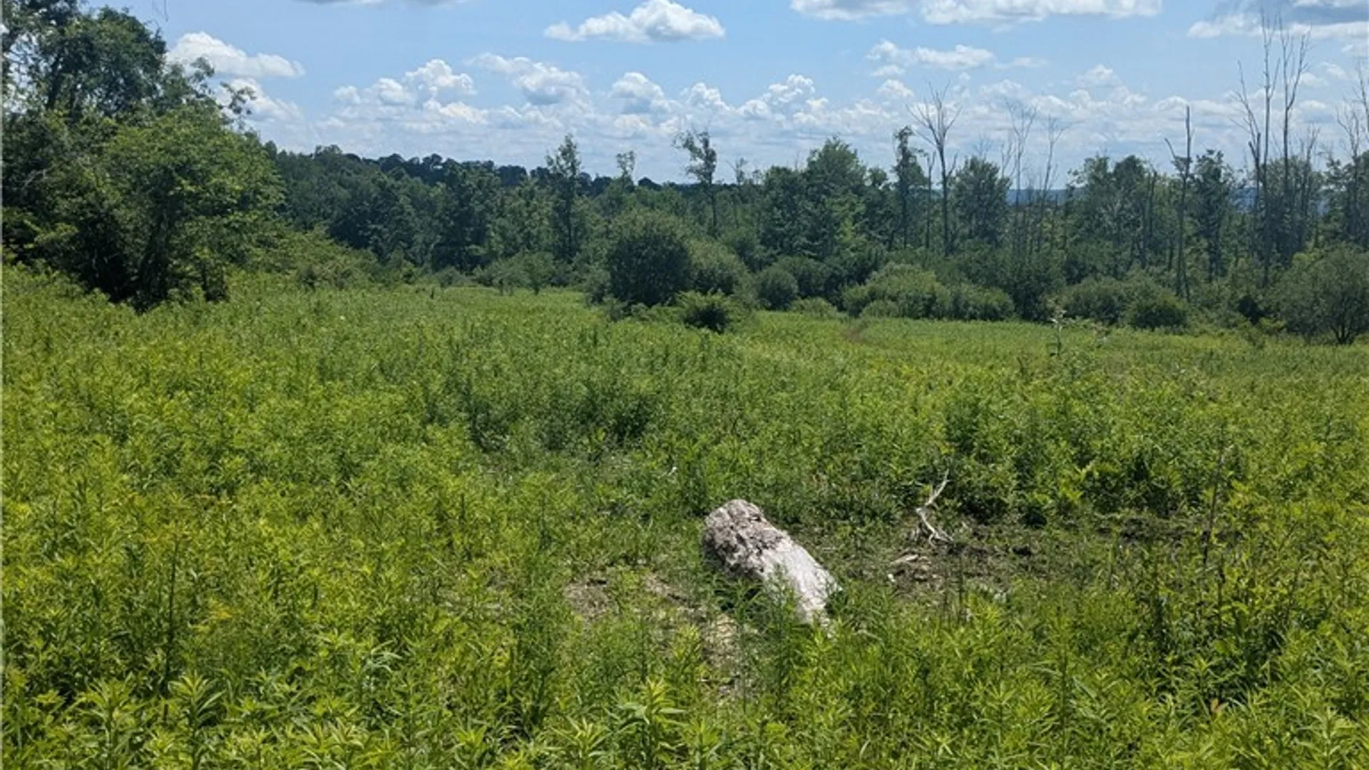 Property at 00 Sulphur Springs Rd Road, Norway, NY 13324 4