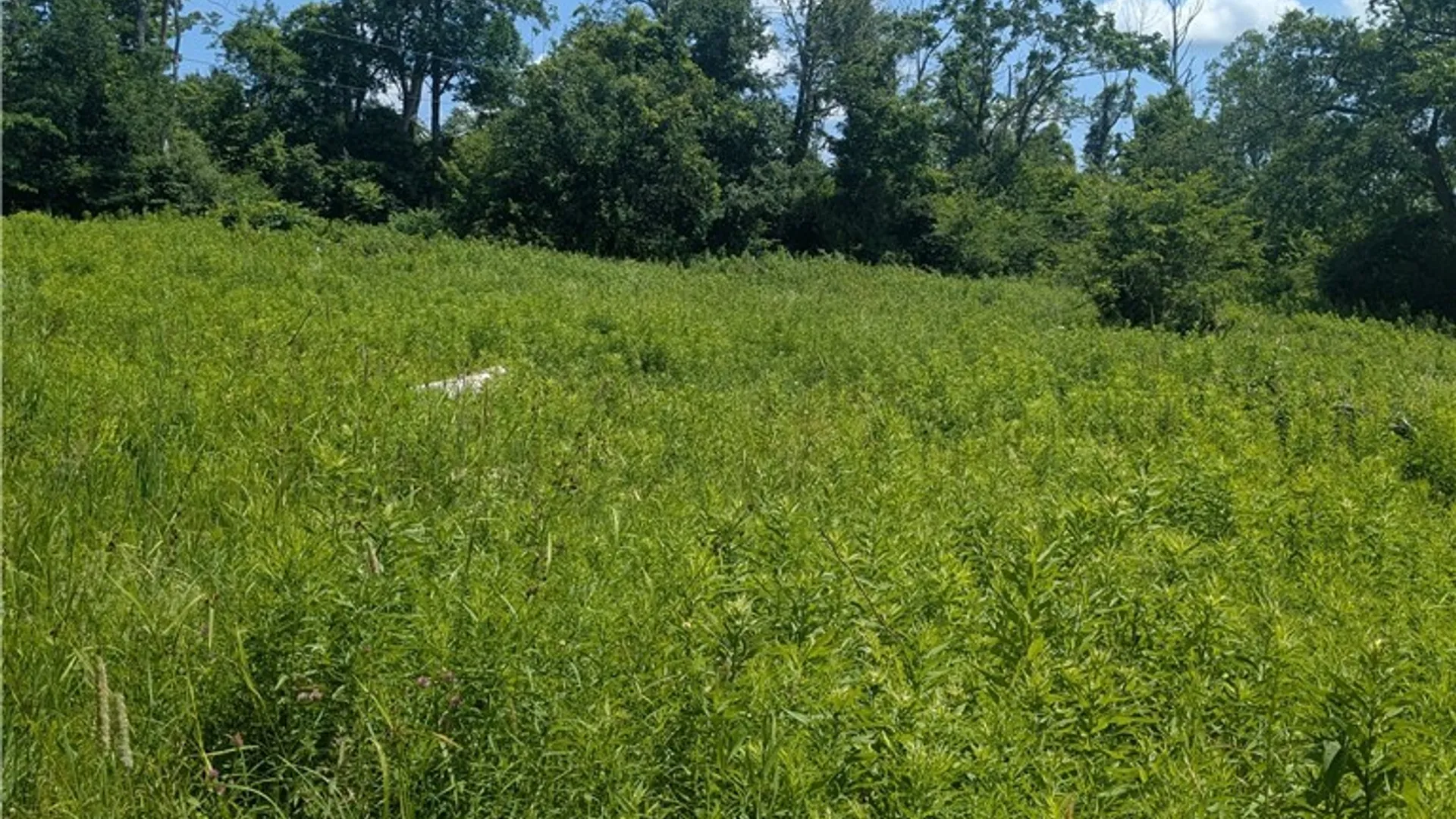 Property at 00 Sulphur Springs Rd Road, Norway, NY 13324 5