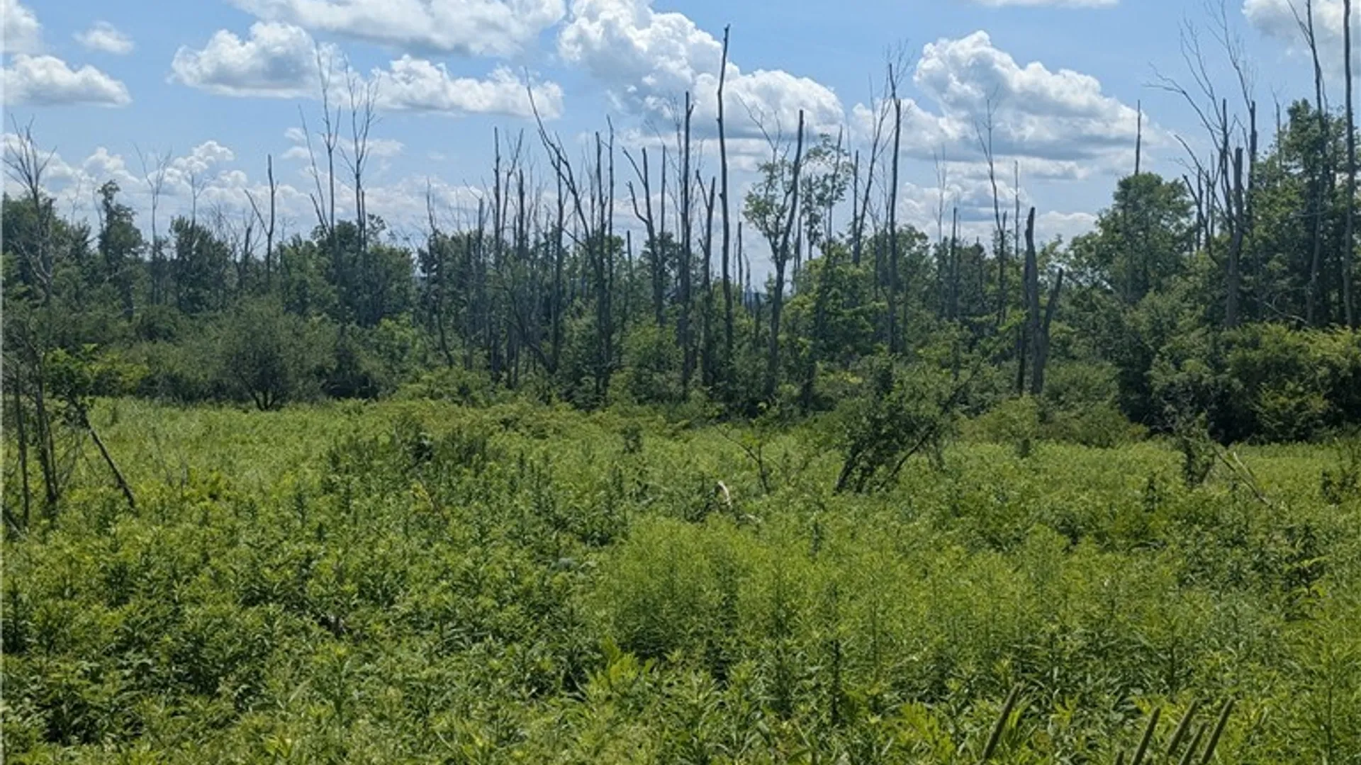 Property at 00 Sulphur Springs Rd Road, Norway, NY 13324 6