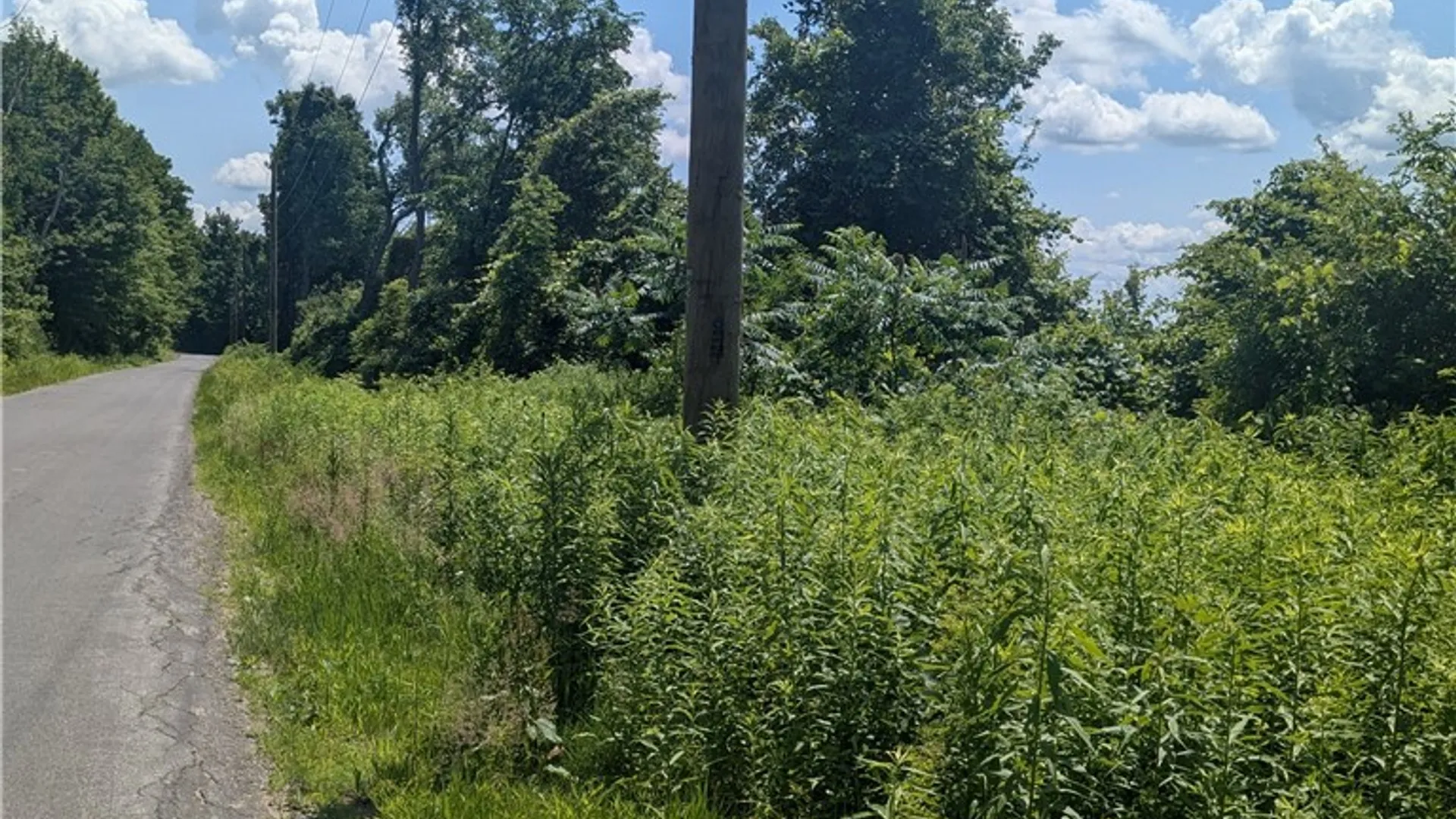 Property at 00 Sulphur Springs Rd Road, Norway, NY 13324 7