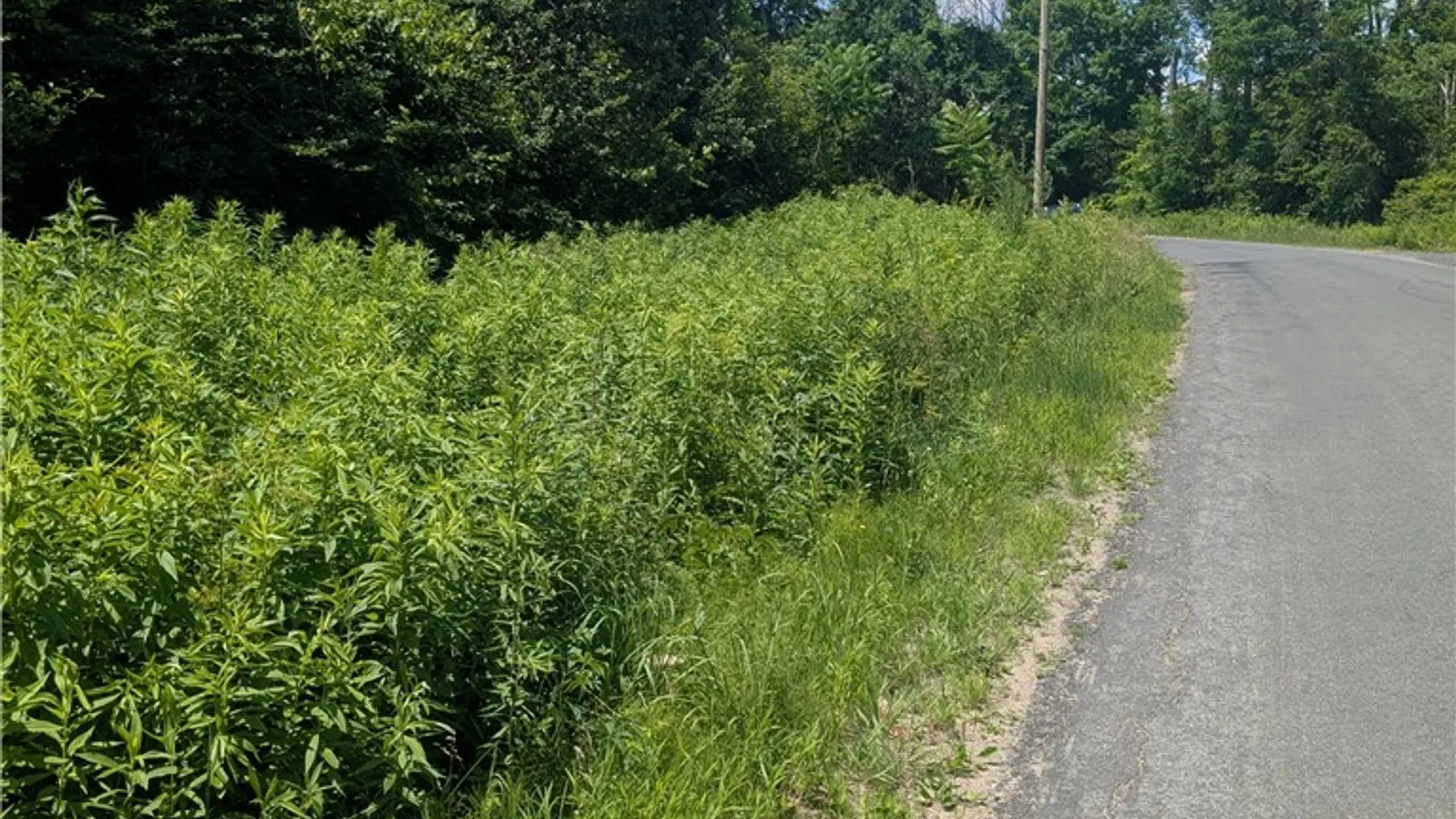 Property at 00 Sulphur Springs Rd Road, Norway, NY 13324 8