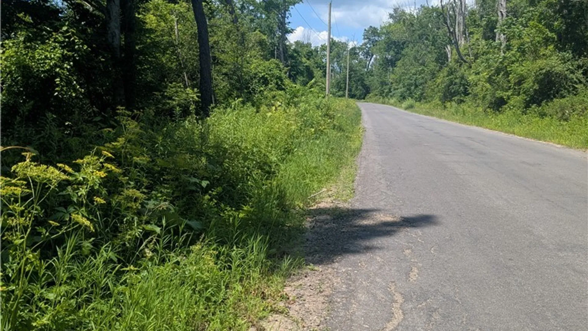 Property at 00 Sulphur Springs Rd Road, Norway, NY 13324 9