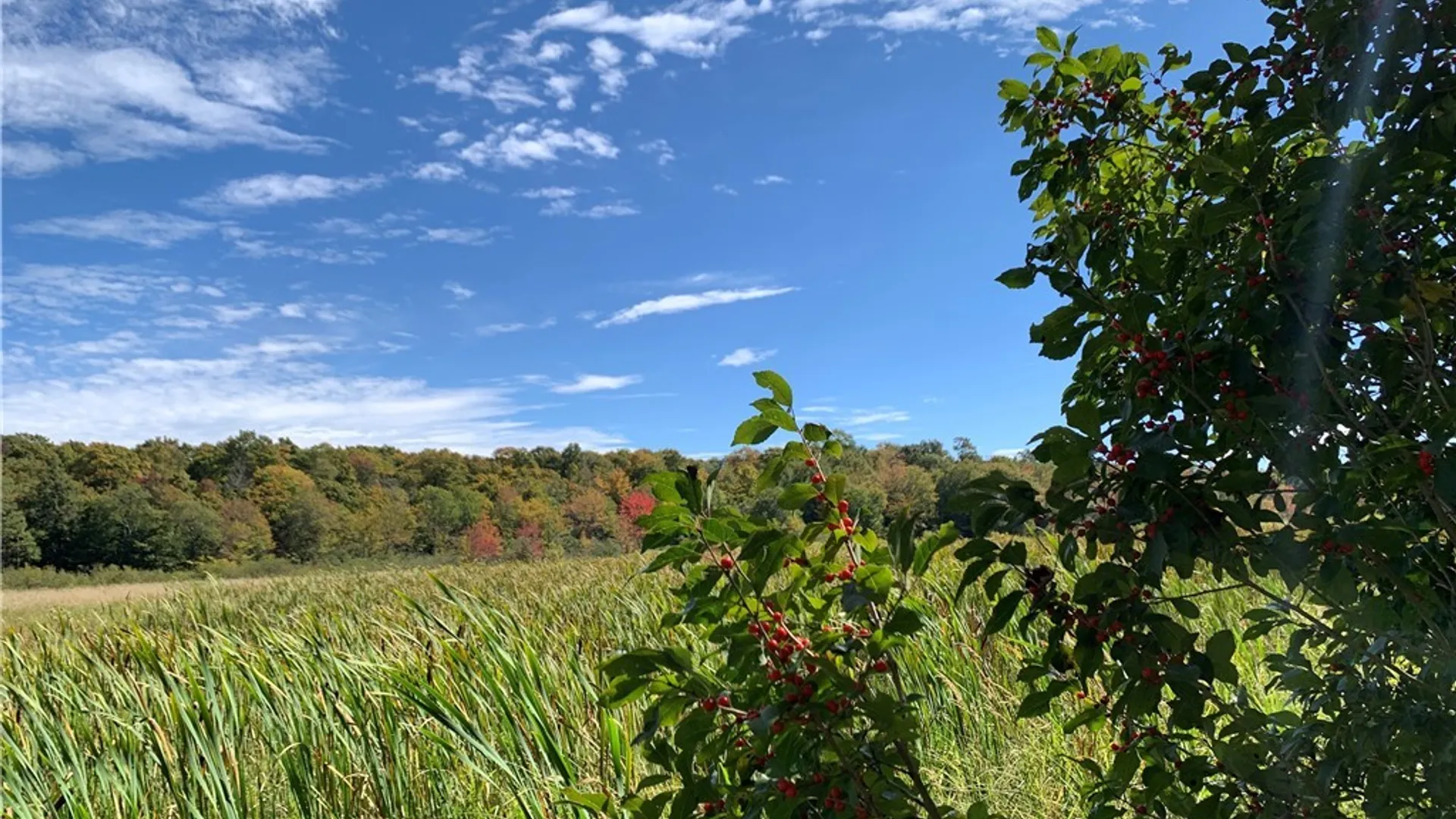 Property at 26969 Oconnor Road, Worth, NY 13659 25