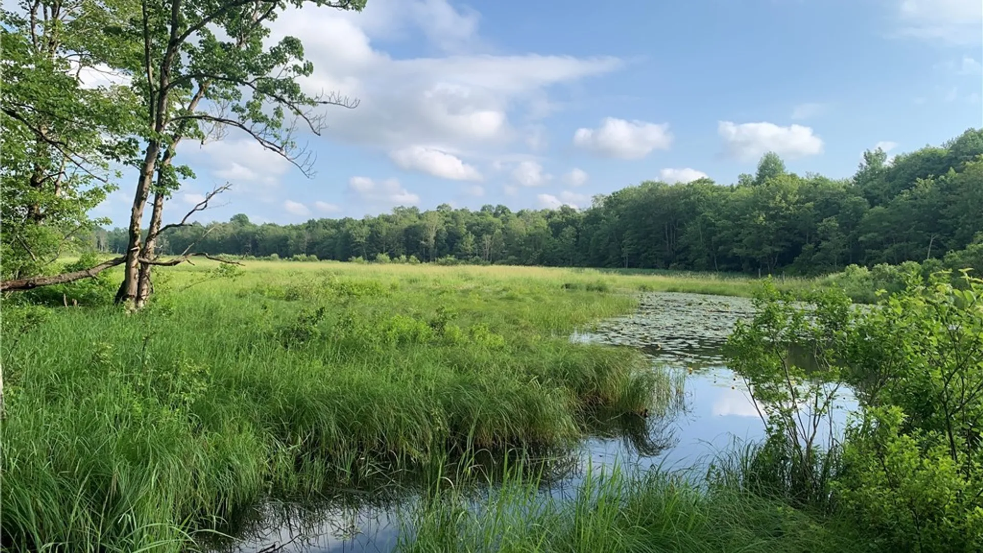 Property at 26969 Oconnor Road, Worth, NY 13659 18