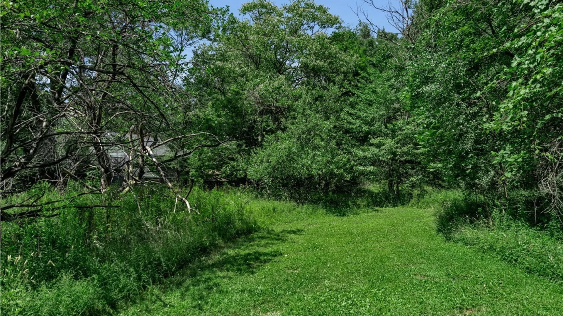 Property at 51 S Ostrander Road, Elma, NY 14052 5