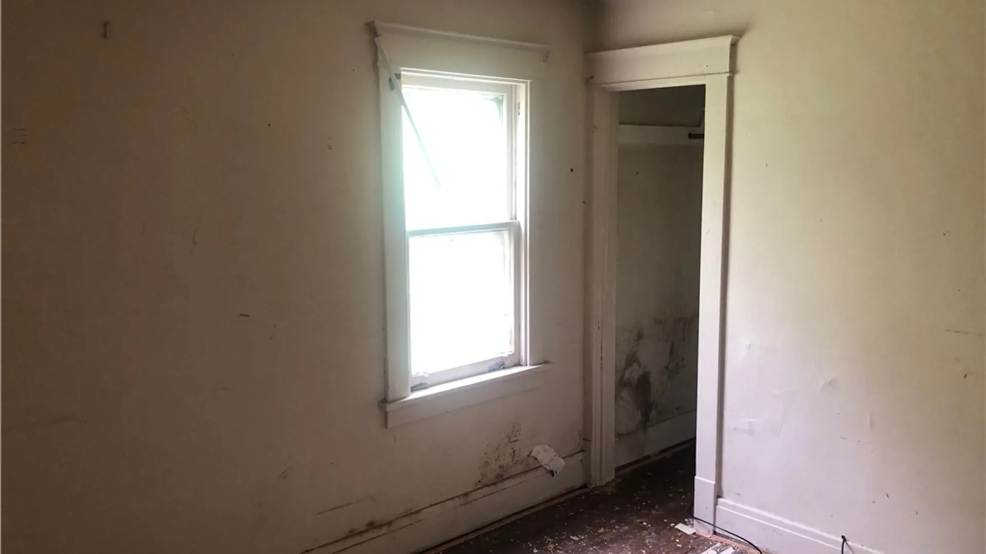 Property at 250 Box Avenue, Buffalo, NY 14211 8