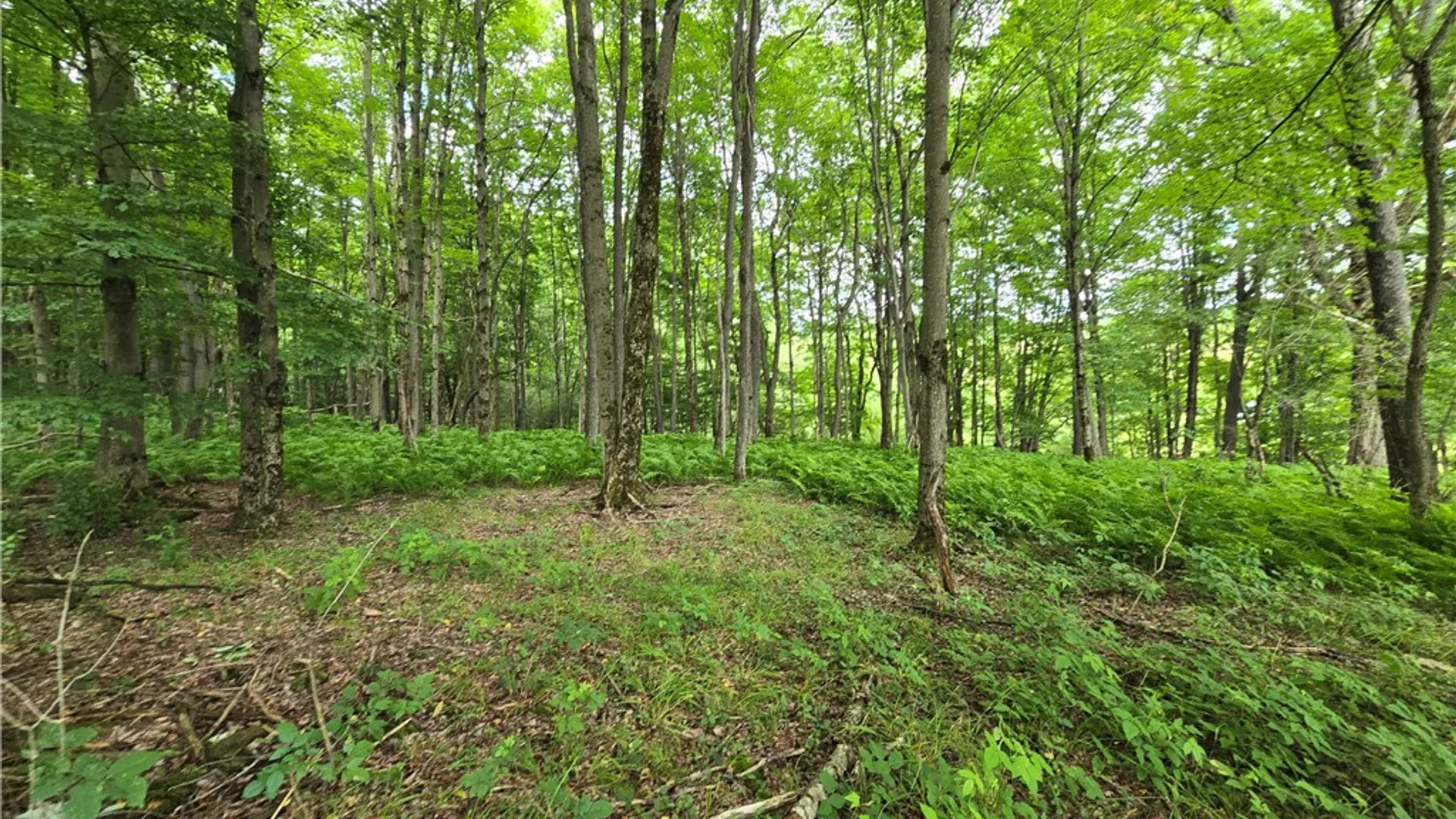 Property at 0 County Highway 10, Meredith, NY 13757 7