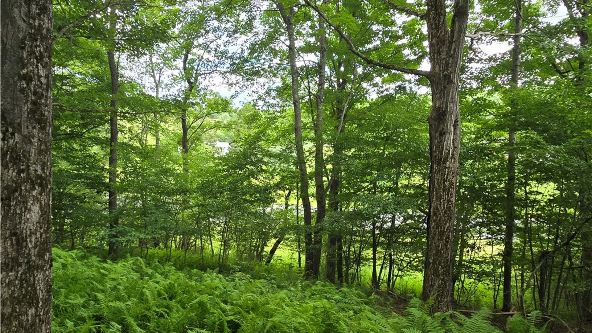 Property at 0 County Highway 10, Meredith, NY 13757 6