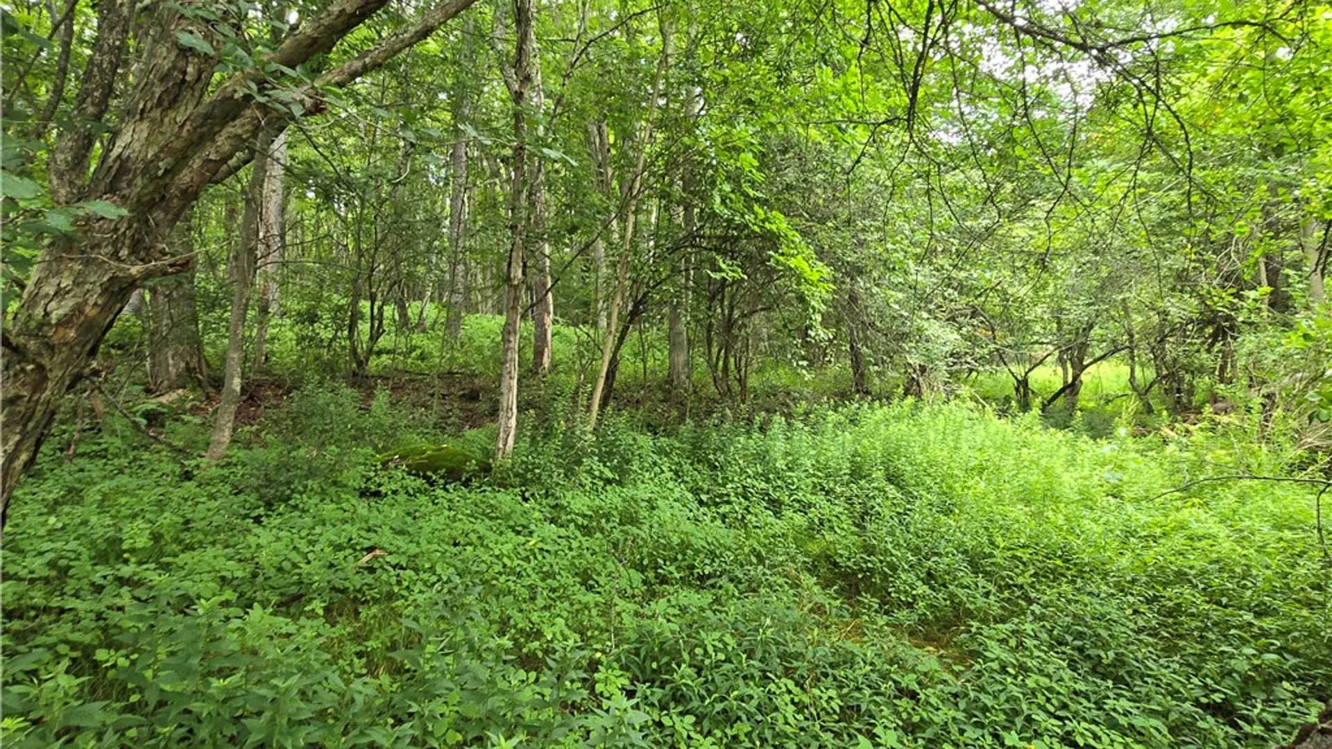 Property at 0 County Highway 10, Meredith, NY 13757 3