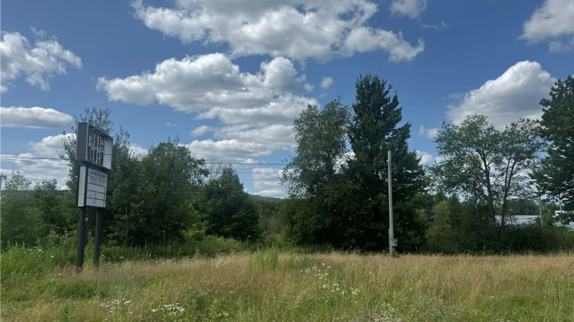 Property at 131 Delaware Avenue, Sidney, NY 13838 9