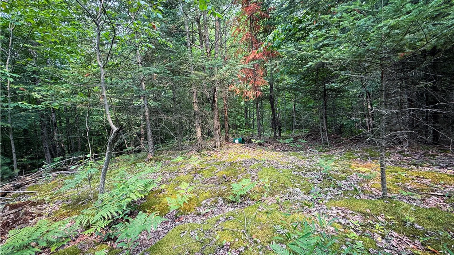 Property at 556 Beebe Road, Hopkinton, NY 12965 26