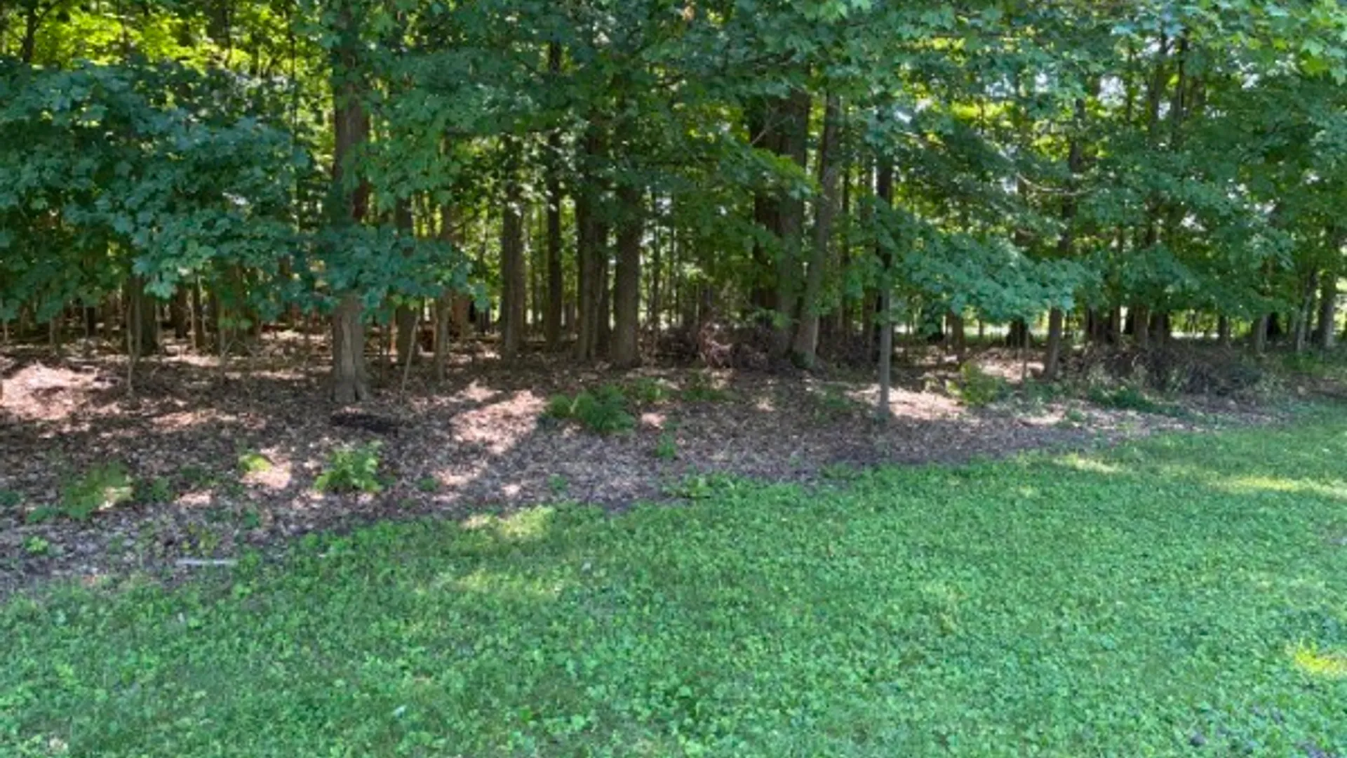 Property at 341 W King Road, Ithaca Town, NY 14850 16