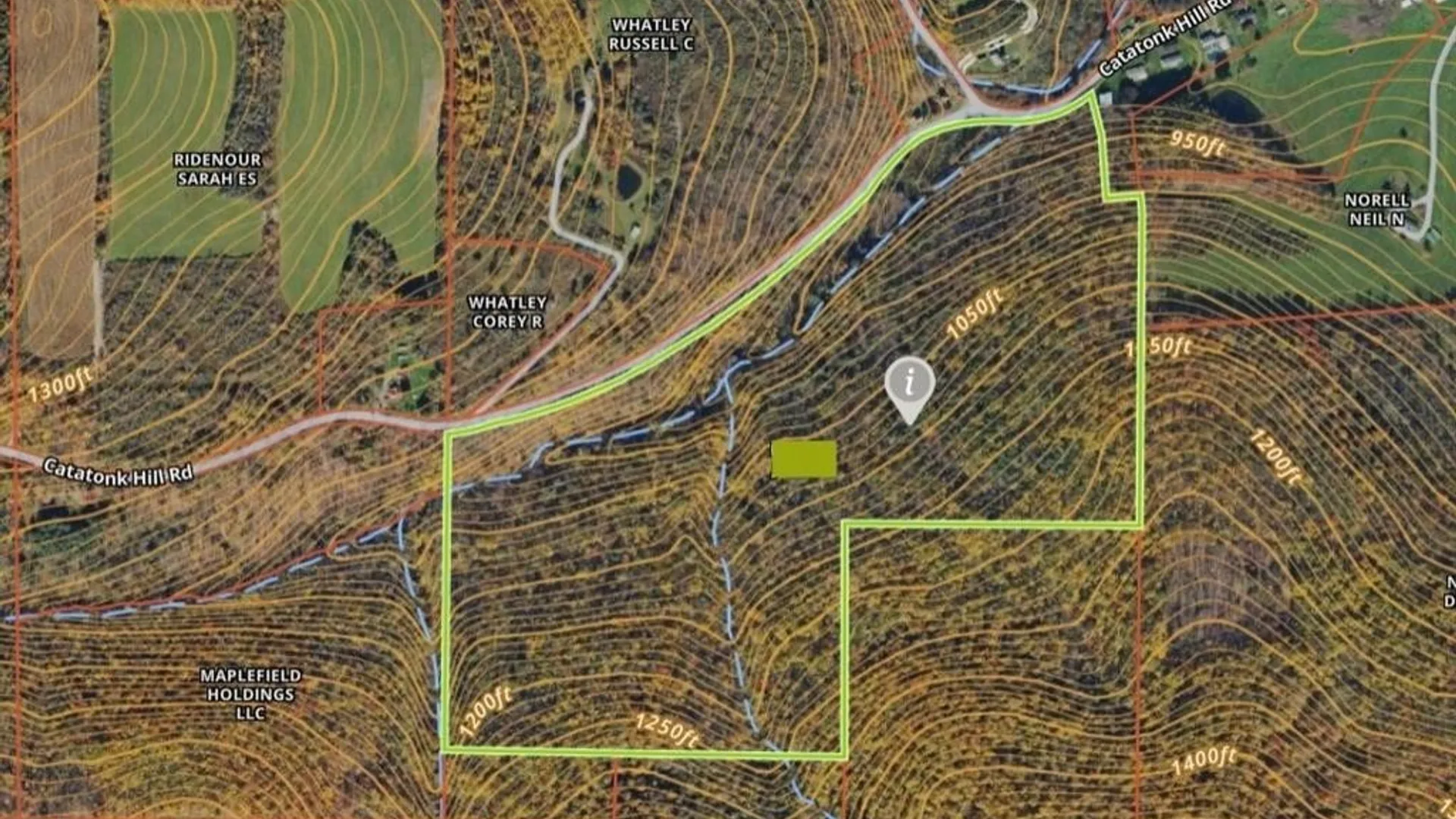 Property at 155 Catatonk Hill Road, Candor, NY 13743 44