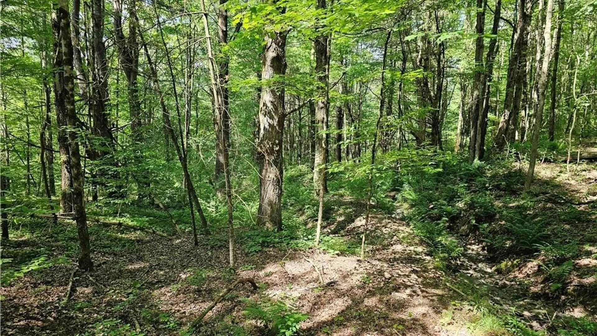 Property at 155 Catatonk Hill Road, Candor, NY 13743 14