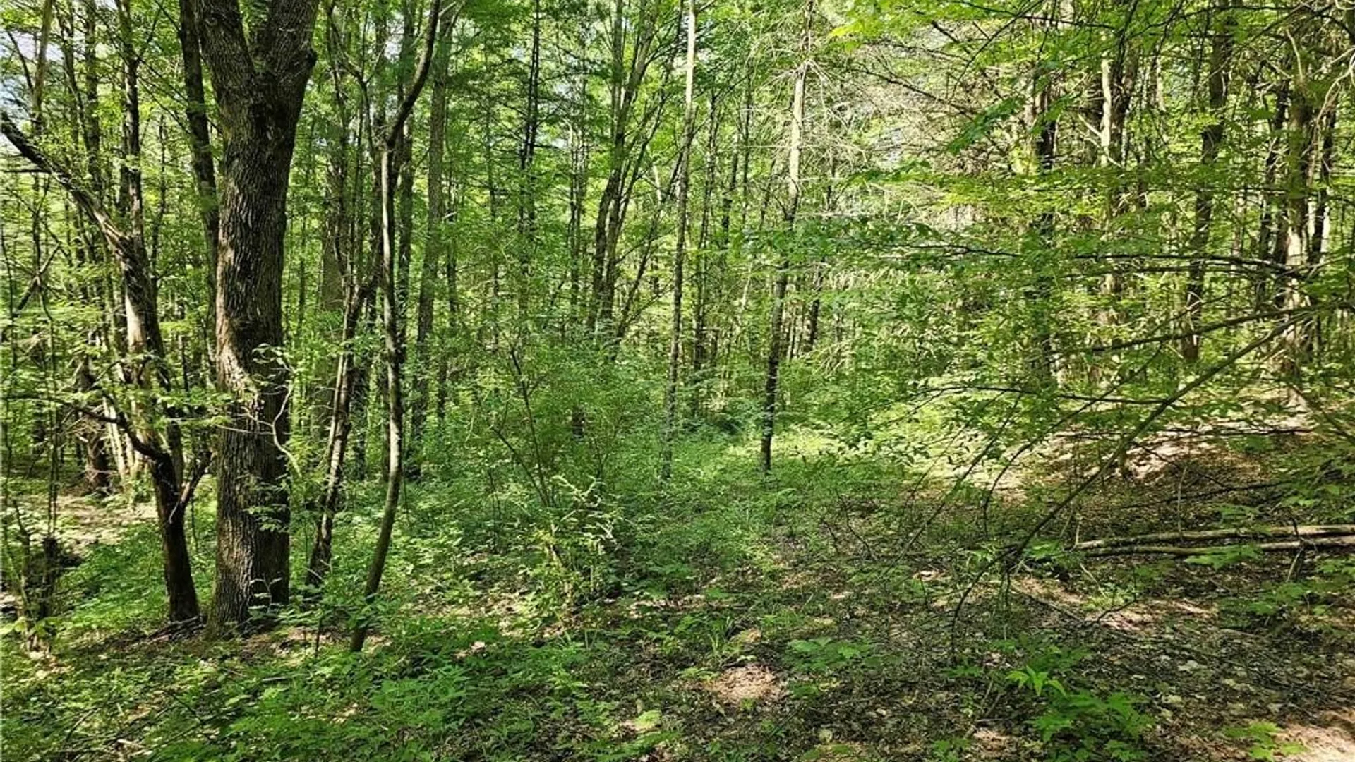 Property at 155 Catatonk Hill Road, Candor, NY 13743 29