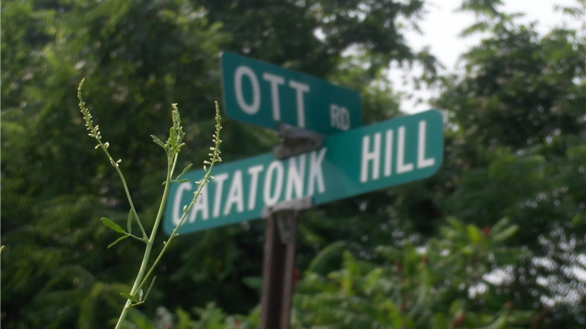 Property at 155 Catatonk Hill Road, Candor, NY 13743 4
