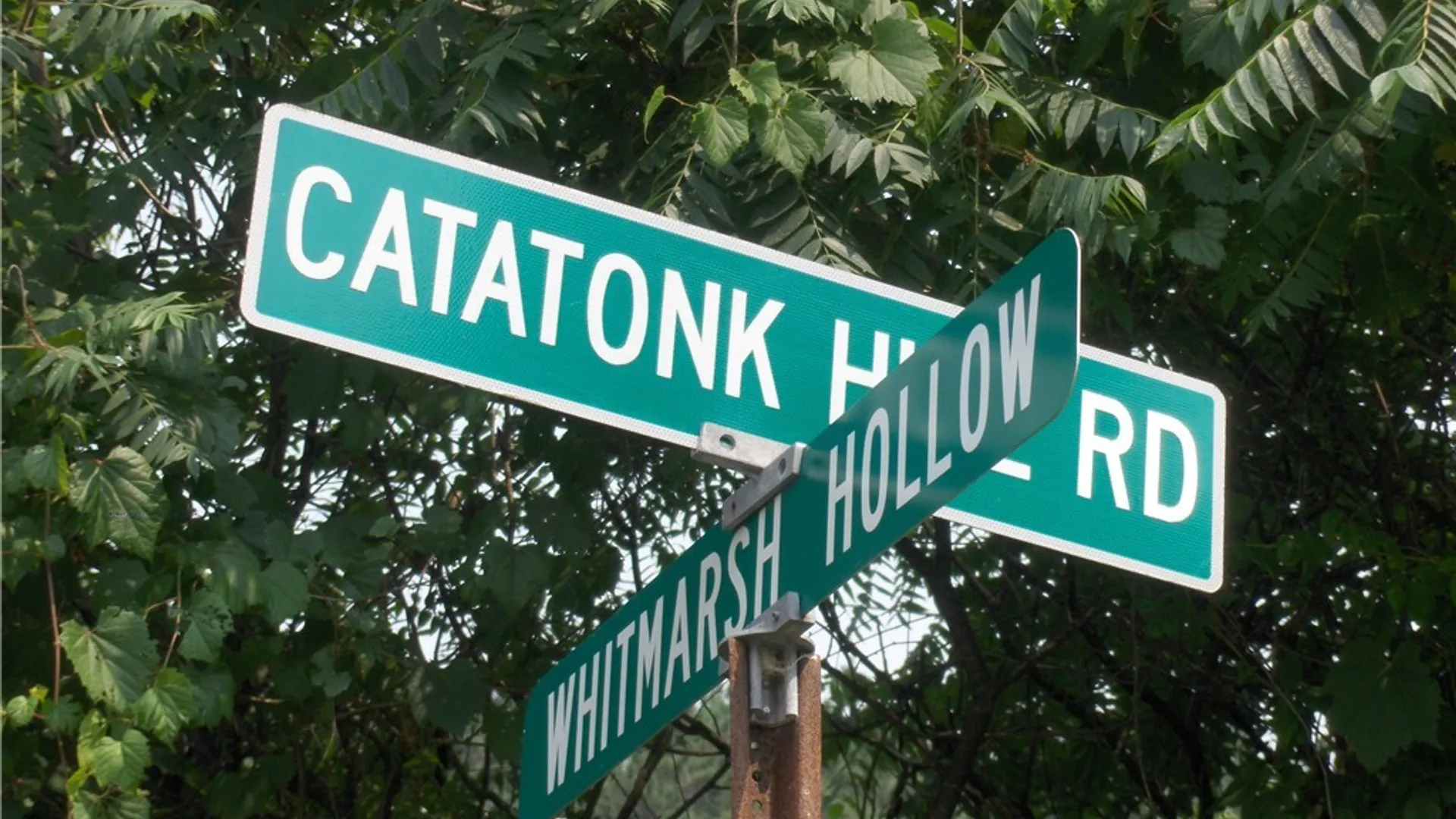 Property at 155 Catatonk Hill Road, Candor, NY 13743 5