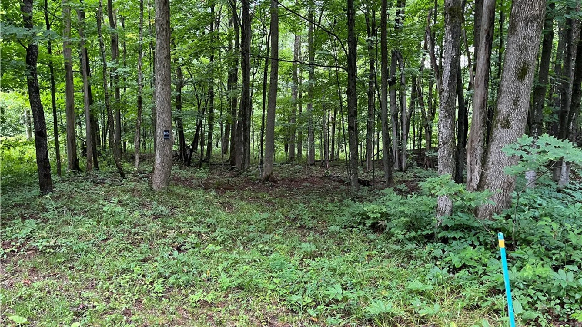 Property at 9657 Gardner Road, Pinckney, NY 13626 9