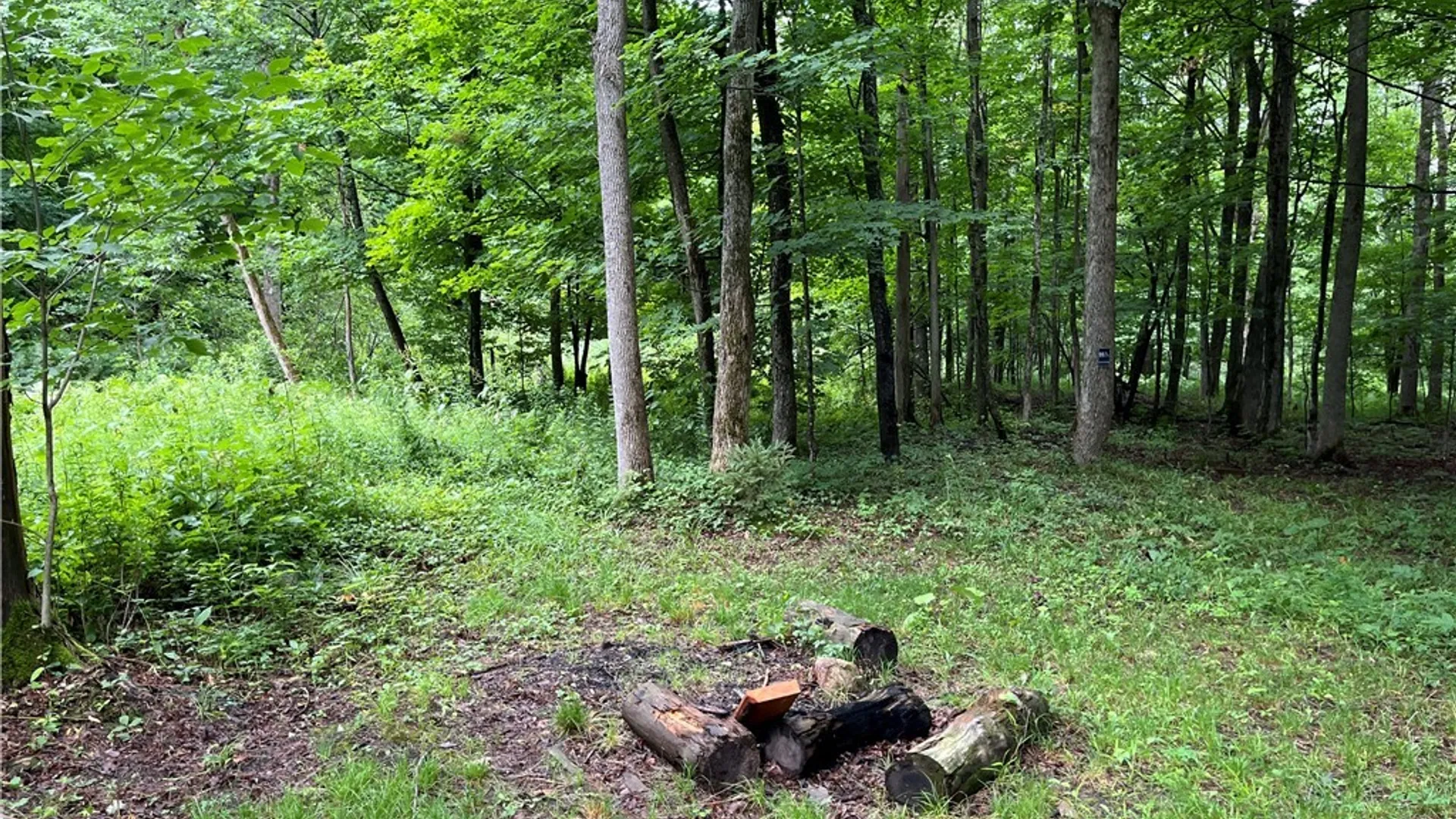 Property at 9657 Gardner Road, Pinckney, NY 13626 8