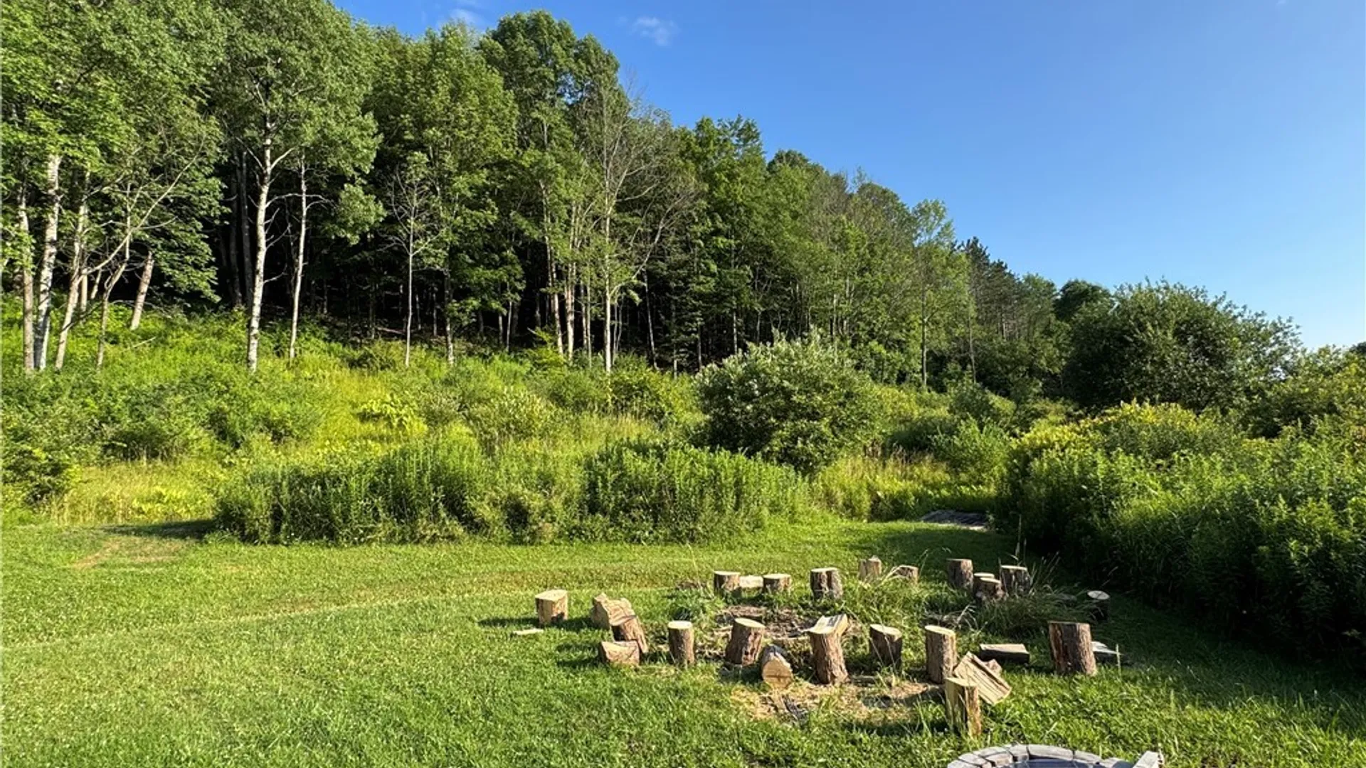 Property at 8393 County Road 1, Clarksville, NY 14739 7