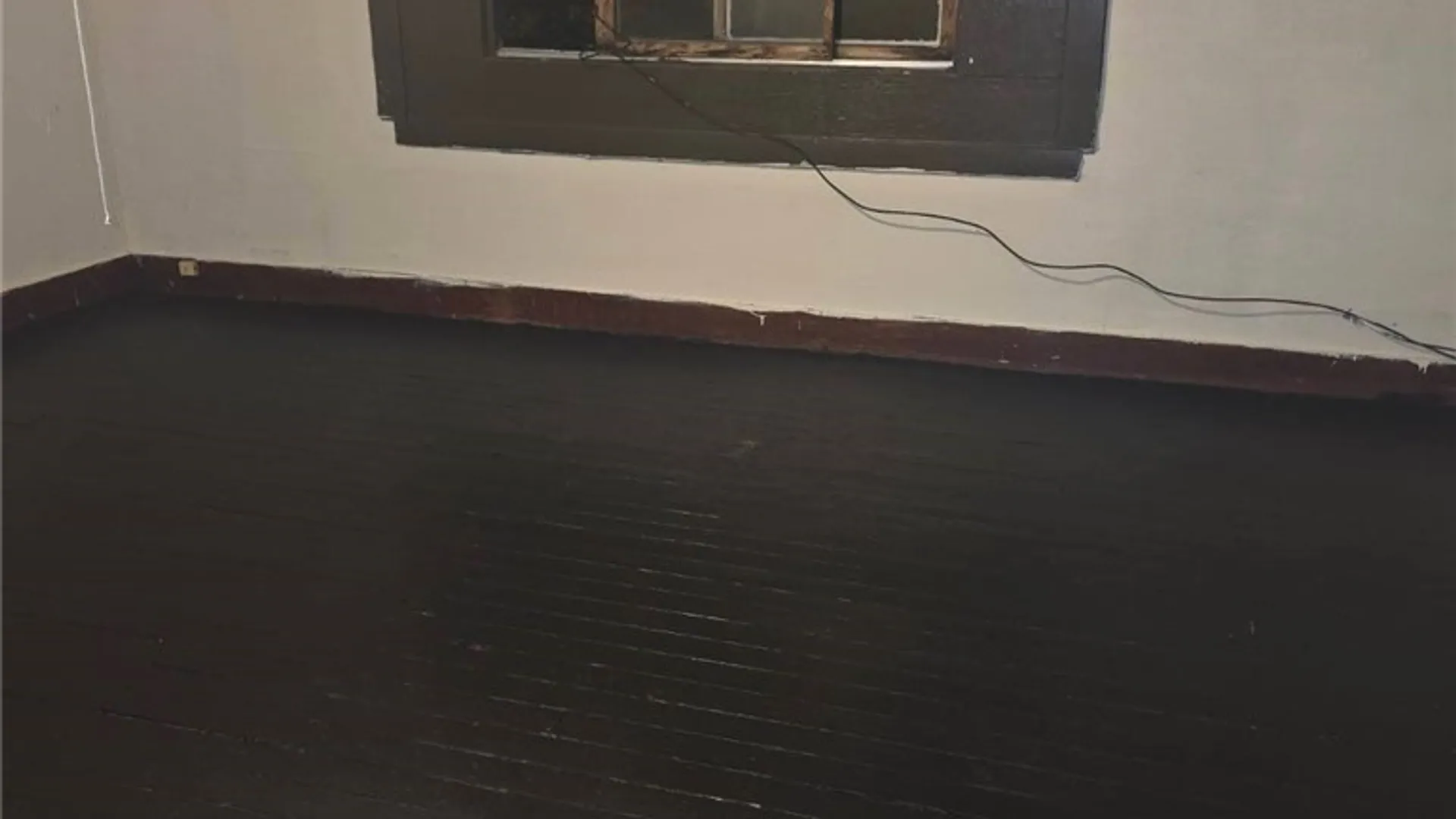 Property at 113 Carl Street, Buffalo, NY 14215 3