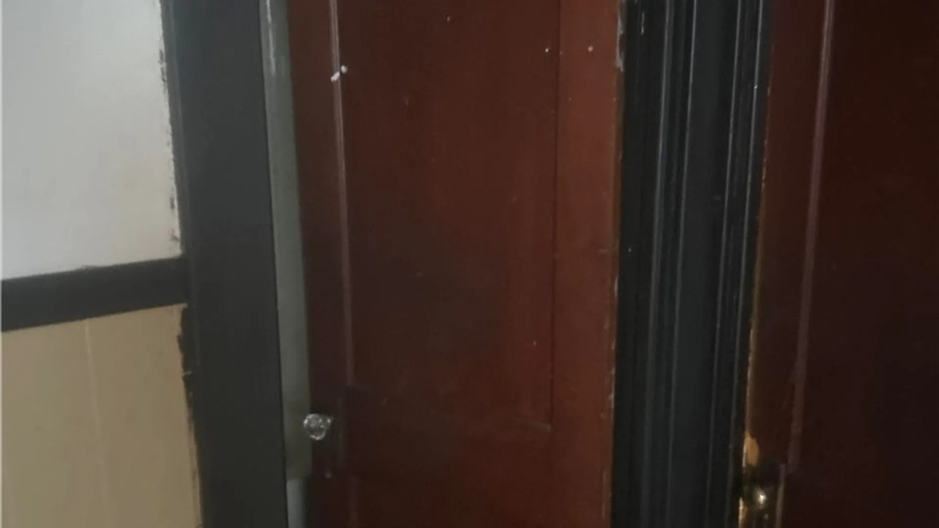 Property at 113 Carl Street, Buffalo, NY 14215 16