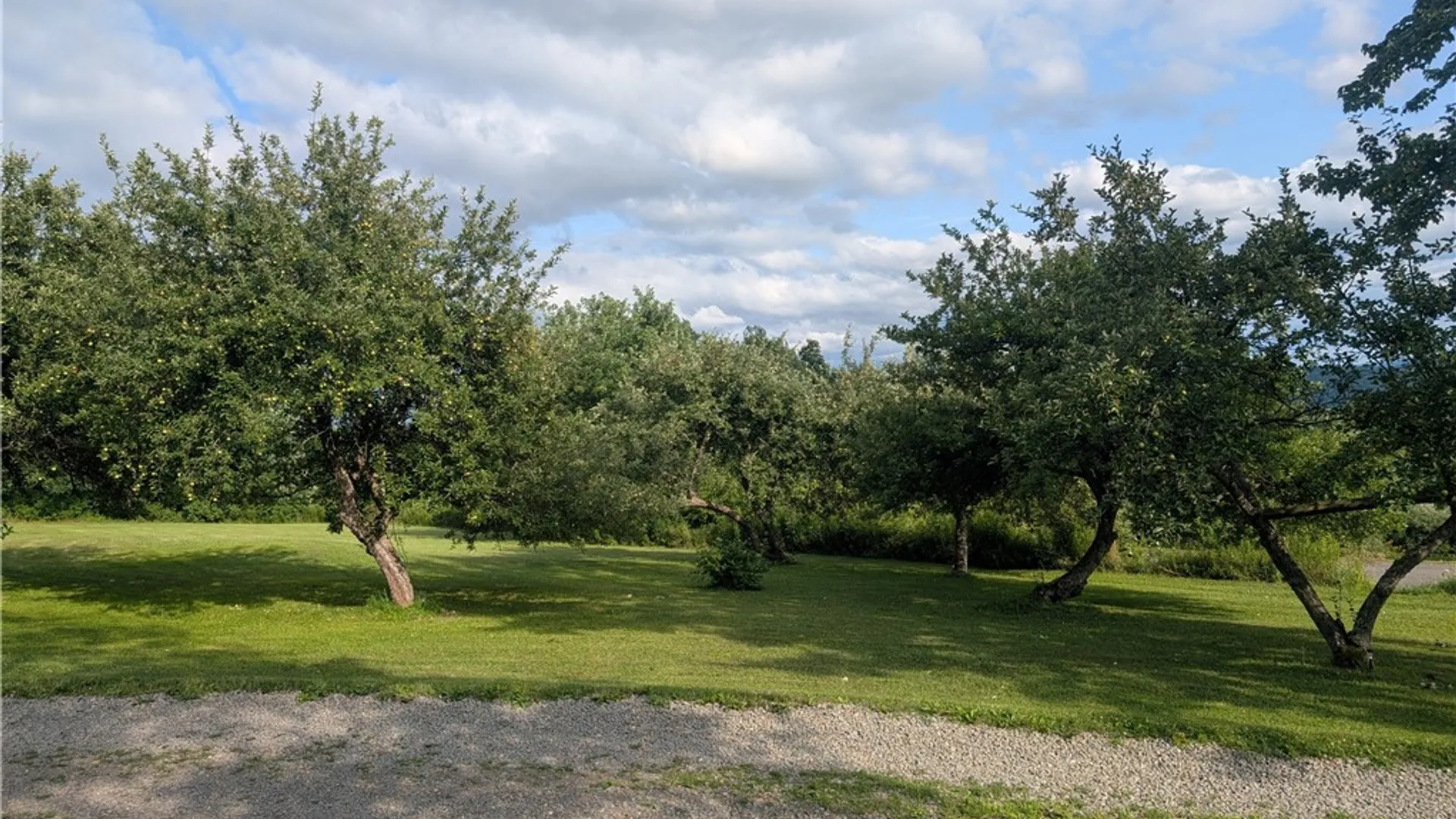 Property at 75 Paxton Lane, Candor, NY 13743 32
