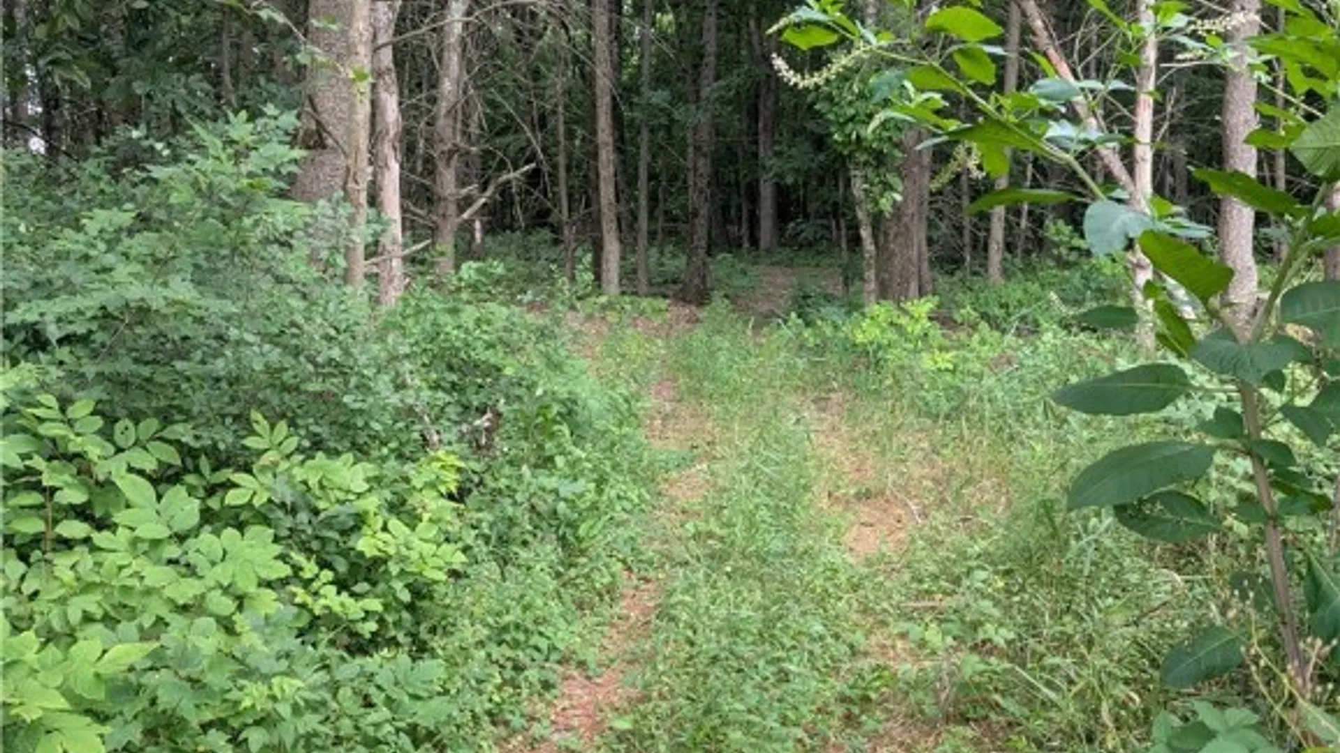 Property at 75 Paxton Lane, Candor, NY 13743 34