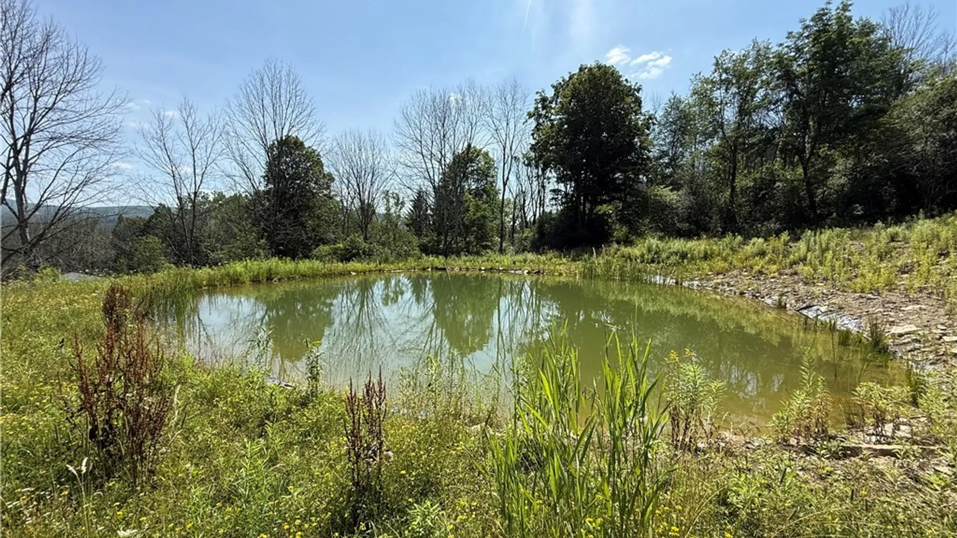Property at 4565 Back River Road, Amity, NY 14813 33