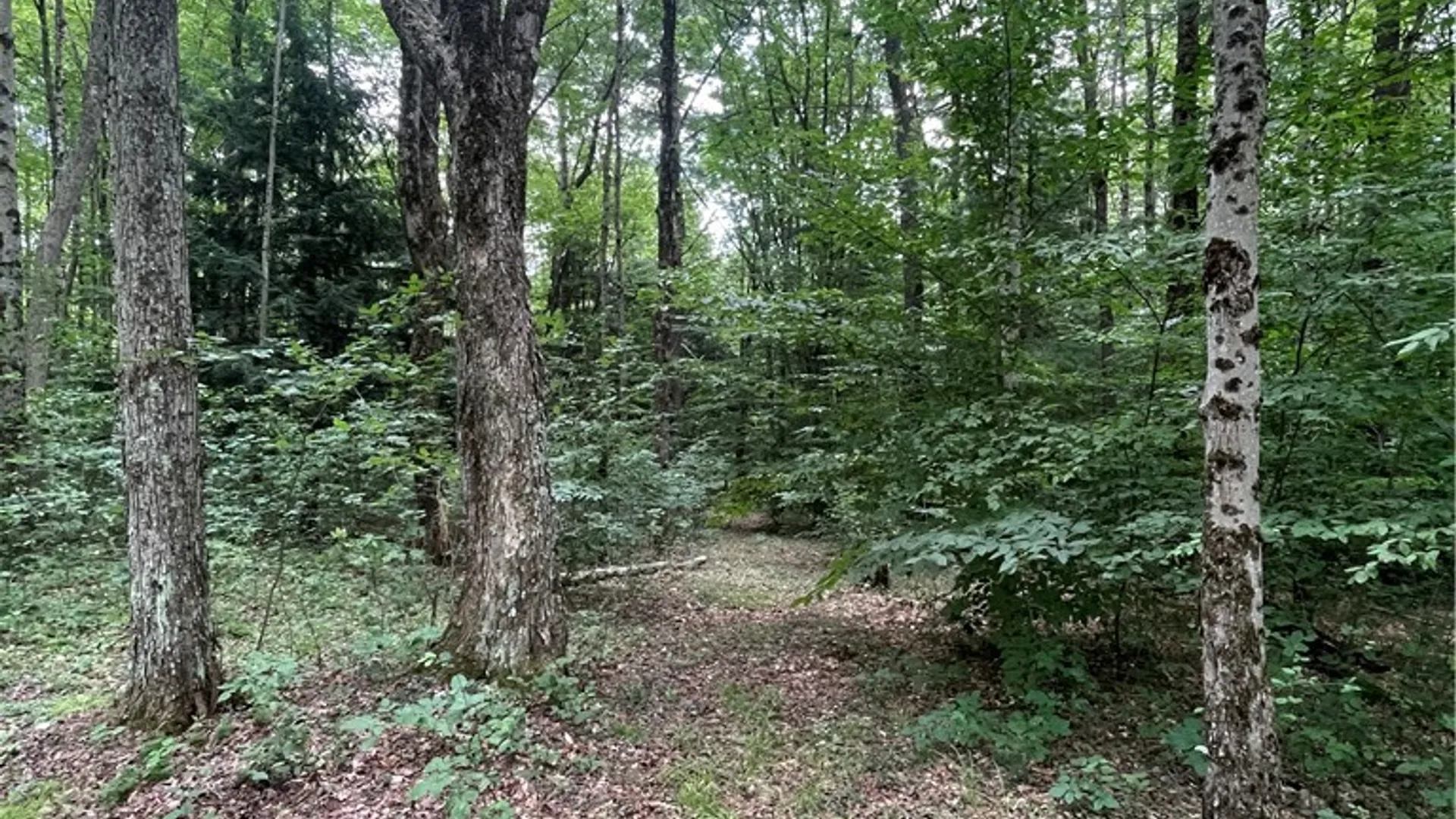 Property at 619 Town Line Road, German, NY 13801 5