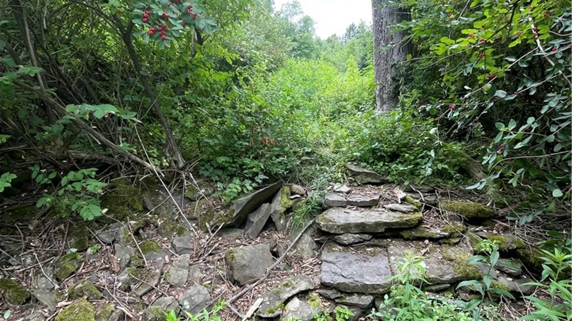 Property at 619 Town Line Road, German, NY 13801 35