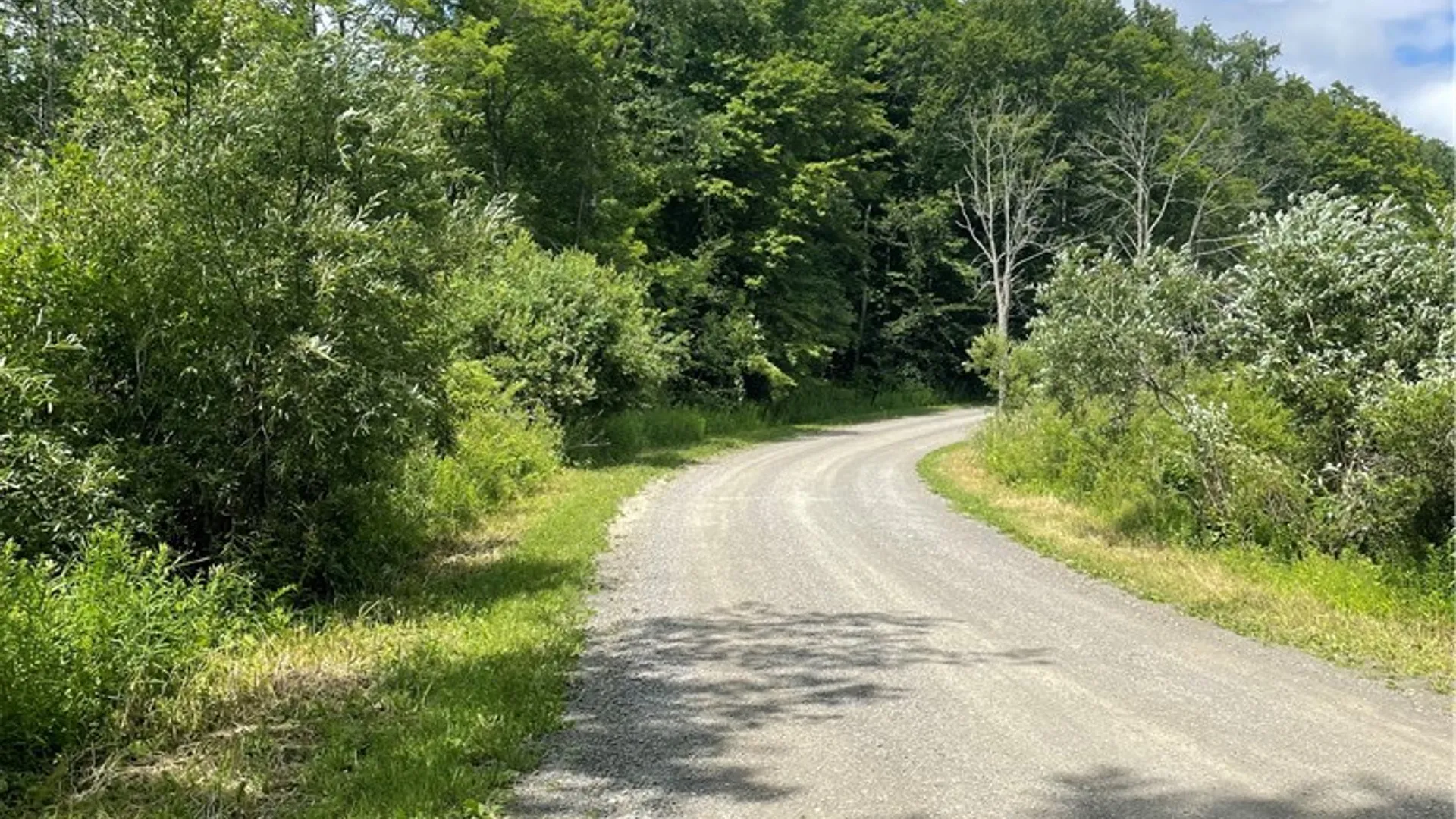 Property at 619 Town Line Road, German, NY 13801 37