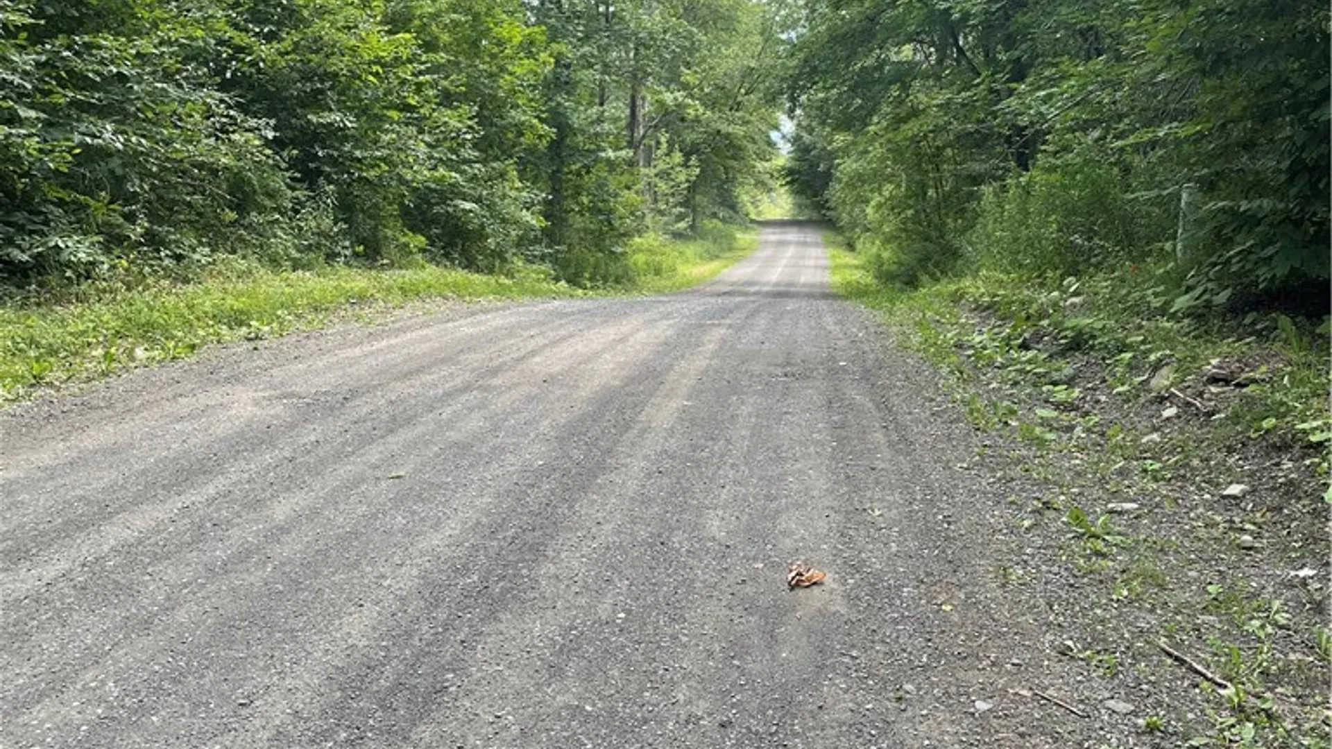 Property at 619 Town Line Road, German, NY 13801 38