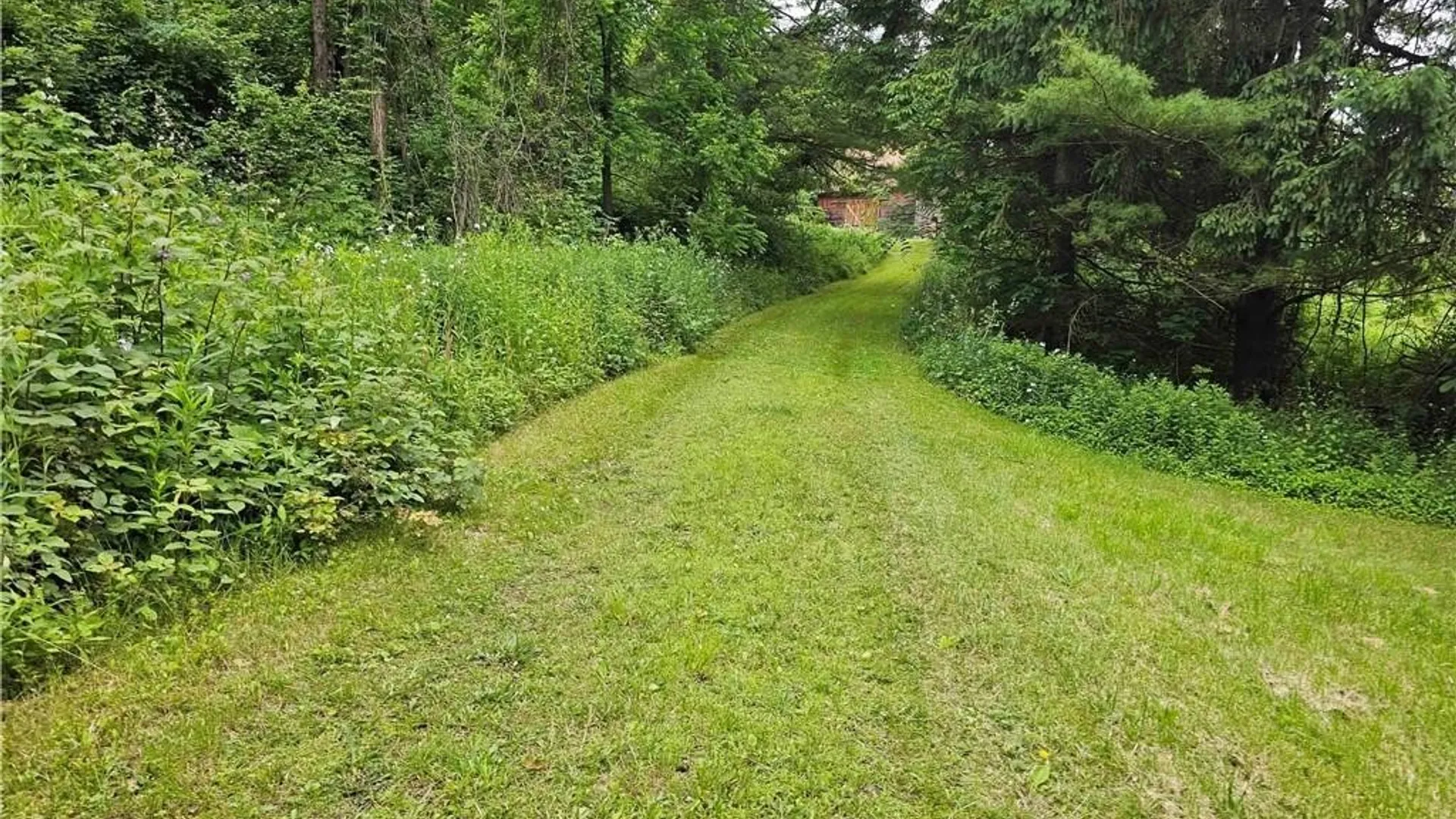 Property at 155 Catatonk Hill Road, Candor, NY 13743 25