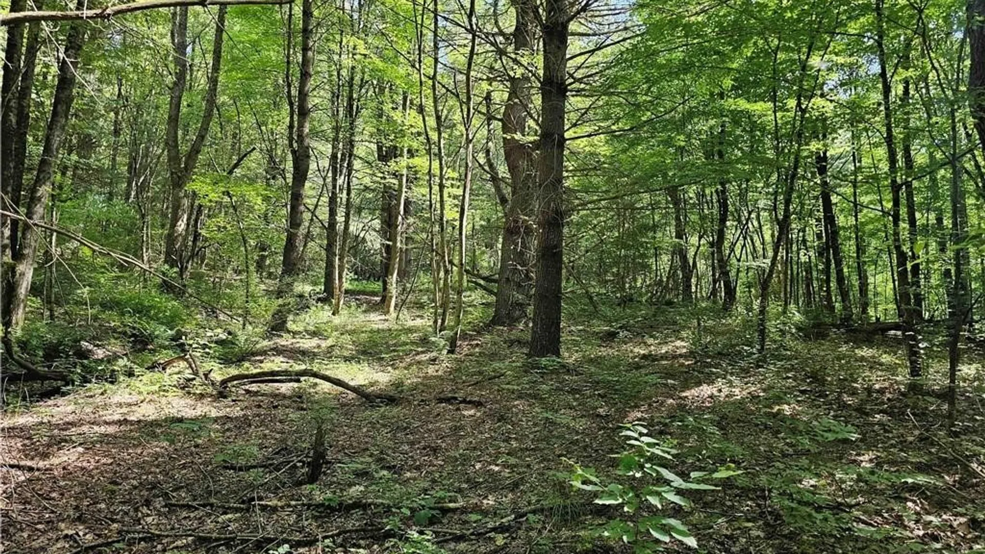 Property at 155 Catatonk Hill Road, Candor, NY 13743 28