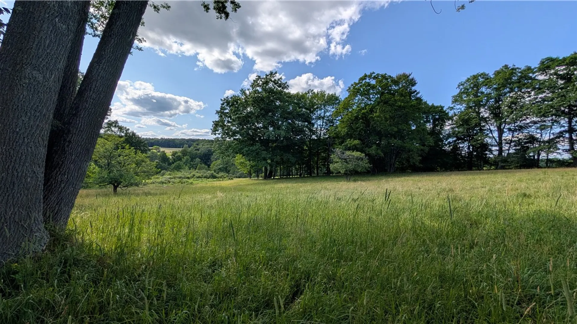 Property at 2072 Frank Slawson Road, Davenport, NY 13820 35
