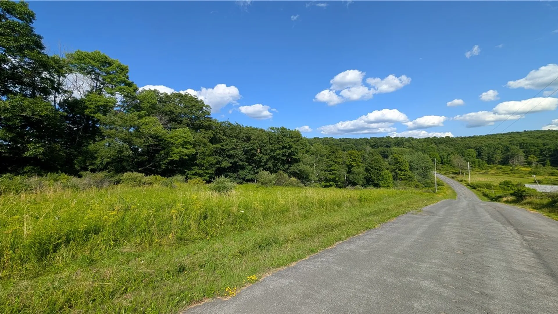 Property at 2072 Frank Slawson Road, Davenport, NY 13820 38