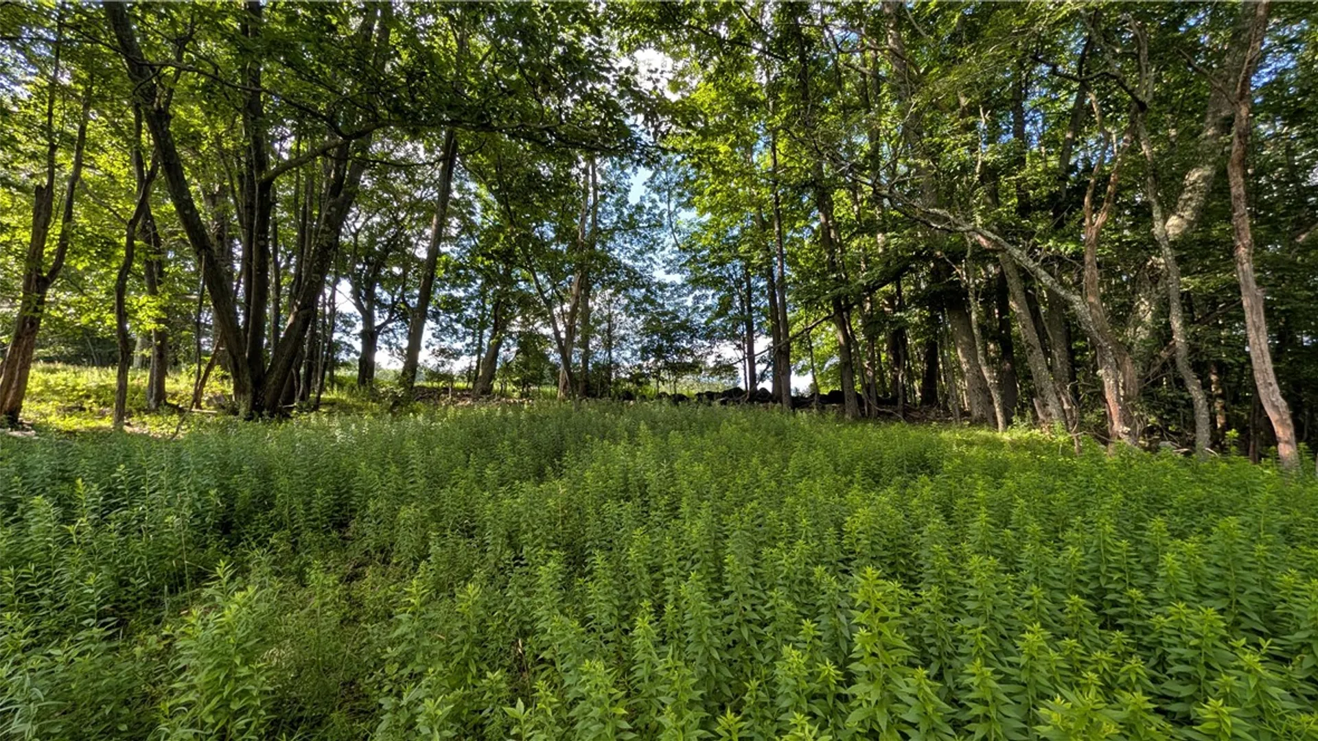 Property at 2072 Frank Slawson Road, Davenport, NY 13820 39