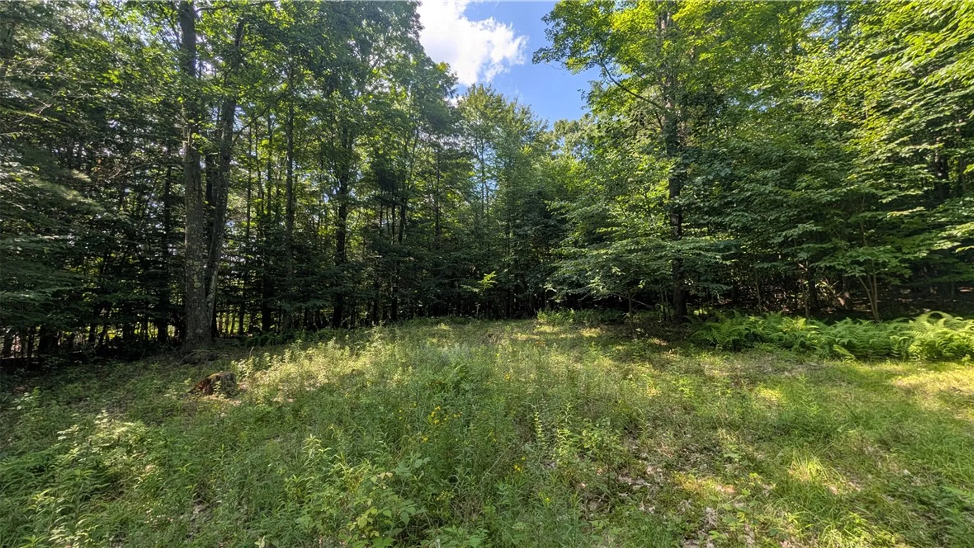 Property at 2072 Frank Slawson Road, Davenport, NY 13820 40