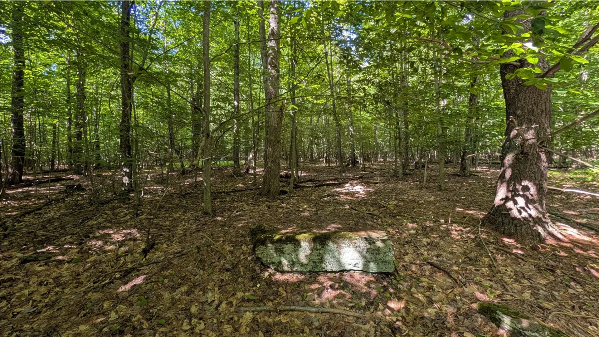 Property at 2072 Frank Slawson Road, Davenport, NY 13820 41
